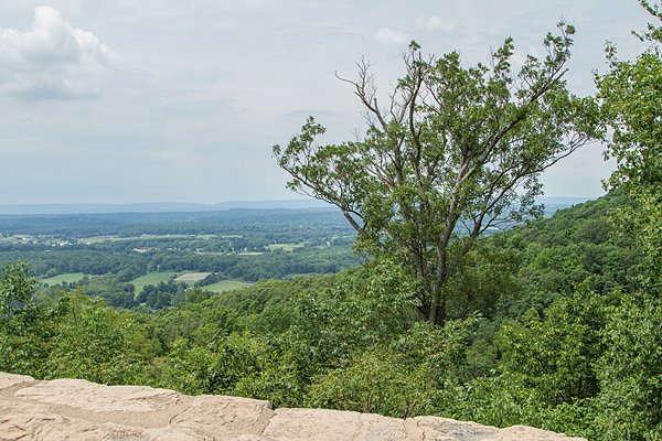 ISO100 landscape raw 600