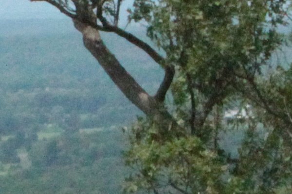 ISO3200 landscape detail 600