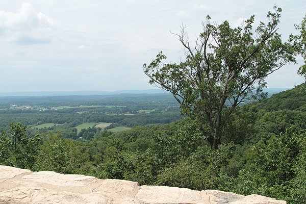 ISO800 landscape sooc 600