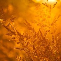 5 Ways to Create Better Images Without Buying More Gear