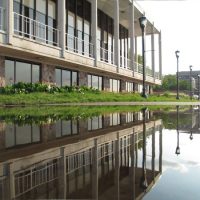 How to Create Amazing Reflection Photos using Puddles