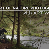 CreativeLive to host free one-day event with Art Wolfe