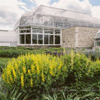 5 Hot Tips For Improving Your Summer Photography