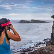 Using Depth of Field and Perspective for Better Composition