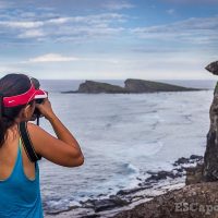 Using Depth of Field and Perspective for Better Composition