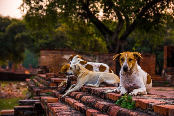 Begginner photography tips 11