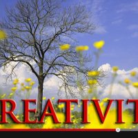 Seeing More Creatively with Bryan Peterson