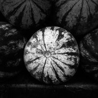 Create Better Black and White Photos Using Local Adjustments in Lightroom 5