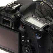 The Secret to Capturing the Best Image Quality with Your Digital Camera