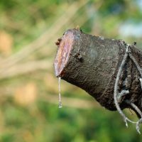 Raw Versus JPG â€“ Why You Might Want to Shoot in RAW Format