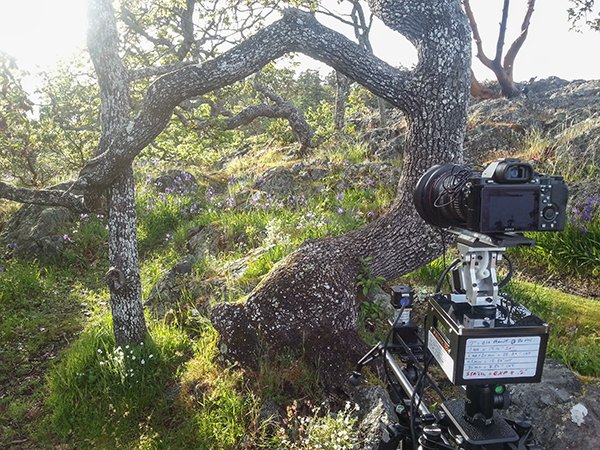 Shooting a timelapse with the Emotimo TB3