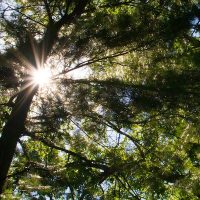 4 Steps to Less Stressful and Easier Photo Editing