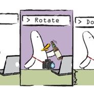 What The Duck #1212