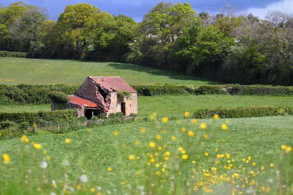 009 Old Barn in Fields