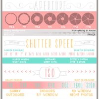 15 of the Best Cheat Sheets, Printables and Infographics for Photographers