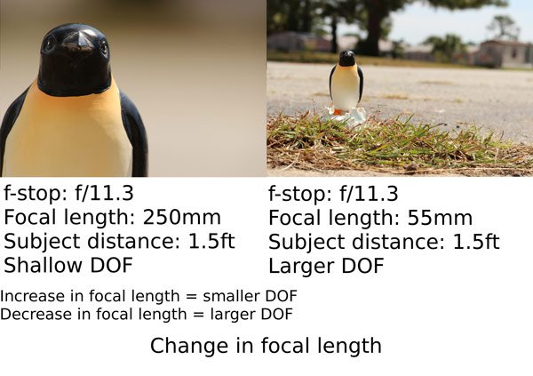 10-depth-of-field.jpg 10 depth of field