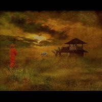 Weekly Photography Challenge â€“ Golden