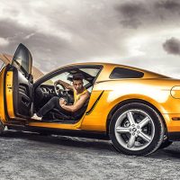 A Collection of Golden Images for Your Viewing Pleasure