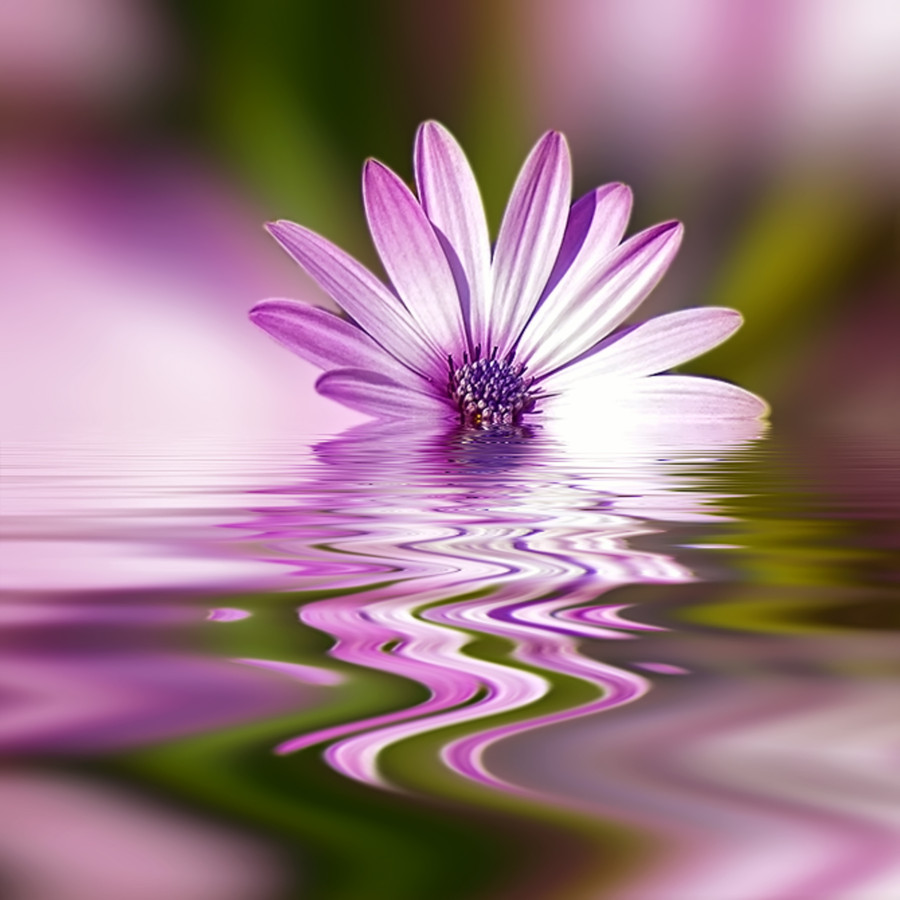 Photograph Atmaniksepa by Josep Sumalla on 500px