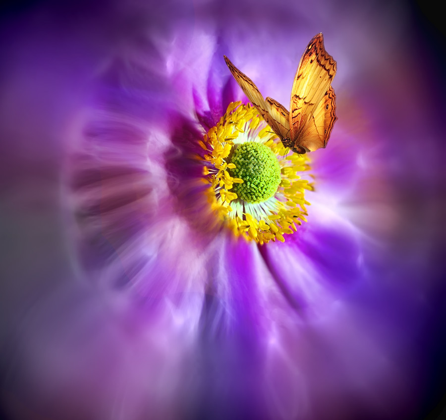 Photograph Satsang by Josep Sumalla on 500px