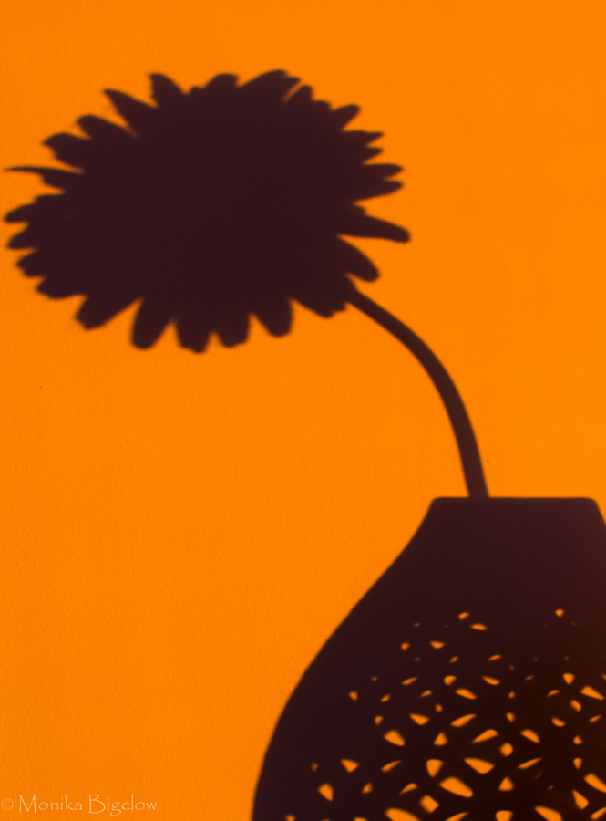 Photograph 59/365   Shadows from the Morning Sun by Monika Bigelow on 500px