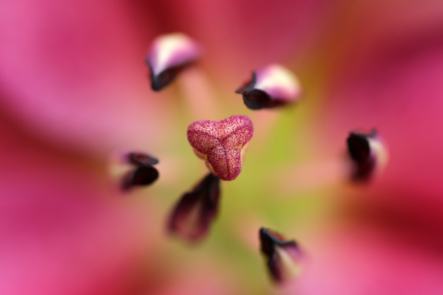 Photograph * by Ayad Ashour on 500px