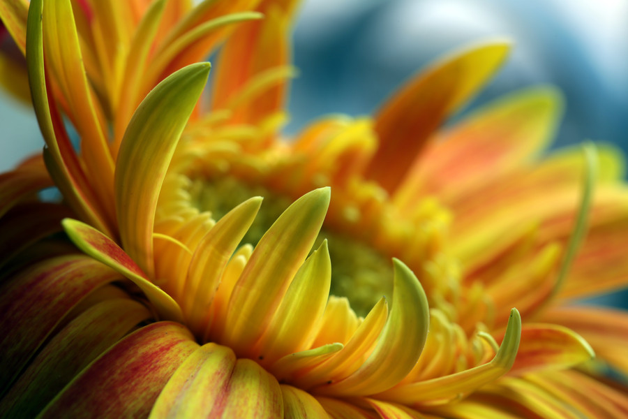 Photograph Untitled by Ayad Ashour on 500px