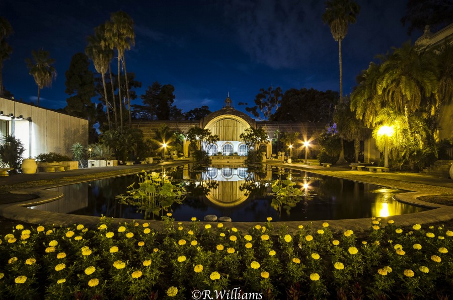 Photograph The Lily Pond by Ron W on 500px