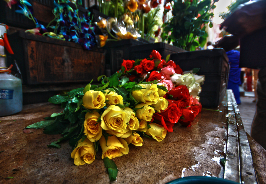 Photograph Smell of Flowers  by Debabrata Chatterjee on 500px