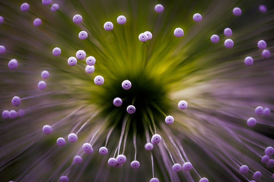 Photograph Very Deep by Wave Faber on 500px