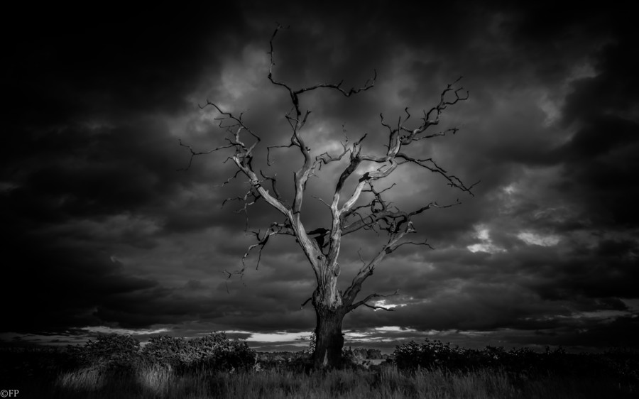 Photograph Age Old by Chris Fletcher on 500px