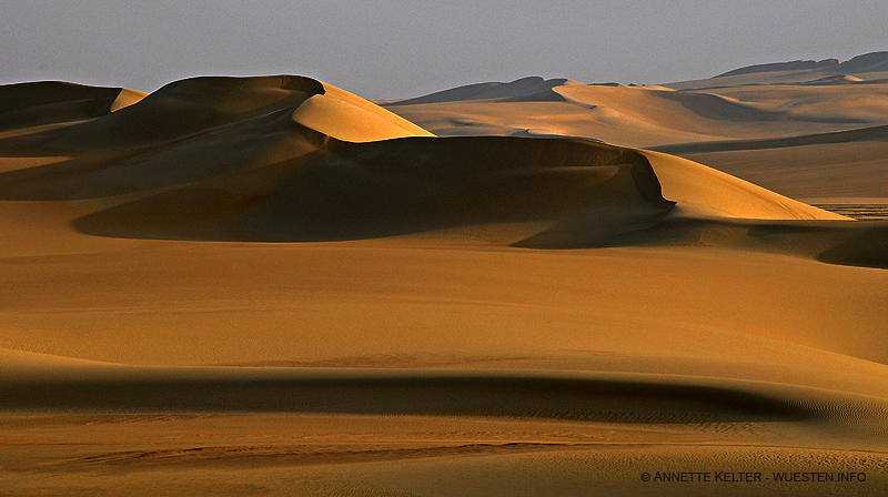 Photograph Golden by Annette Kelter on 500px