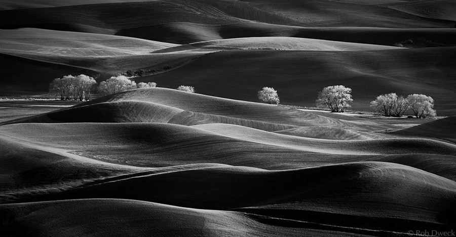 Photograph In the Days Still Left by Rob Dweck on 500px