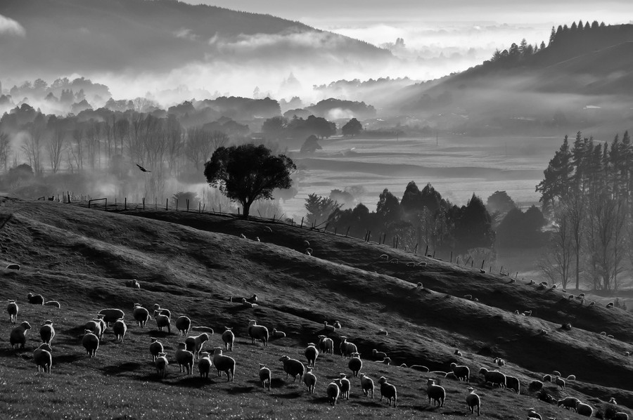 Photograph A rural morning by Margareta   on 500px