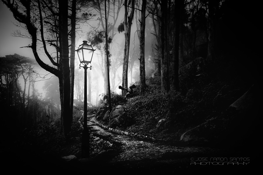 Photograph Foggy path by Jose Ramon Santos Mosquera on 500px