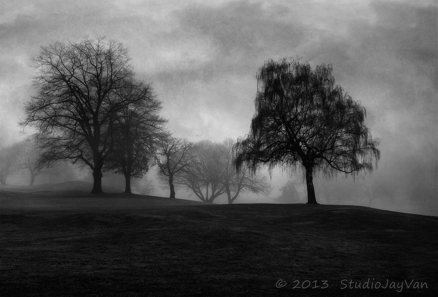 Photograph Dark Beauty by Jayme Hagen on 500px
