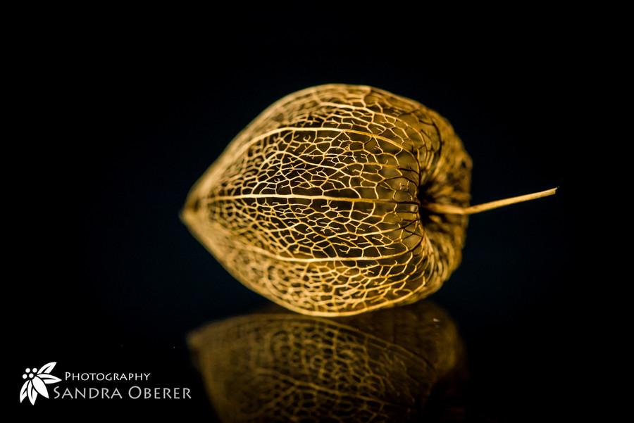 Photograph golden nugget by Sandra Oberer on 500px
