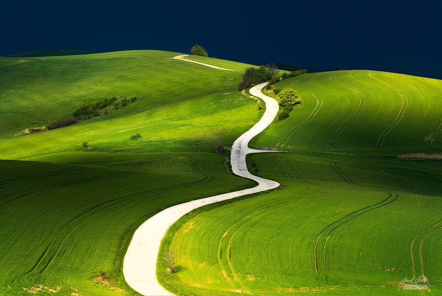 Photograph Path of life by Janek Sedlar on 500px