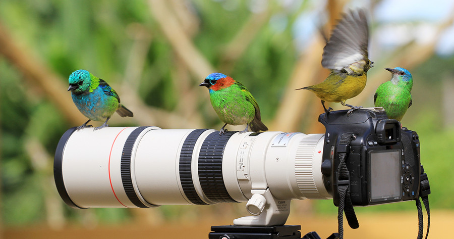 Photograph fighting !!! by Itamar Campos on 500px