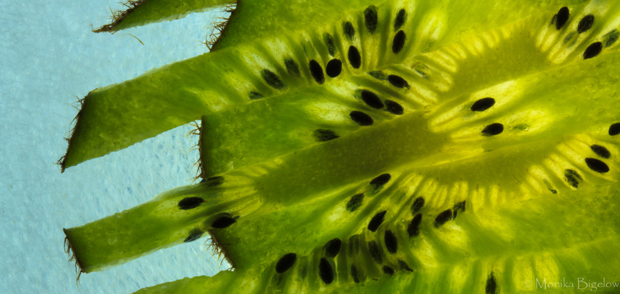 Photograph 90/365  How Many Ways Can You Slice a Kiwi? by Monika Bigelow on 500px