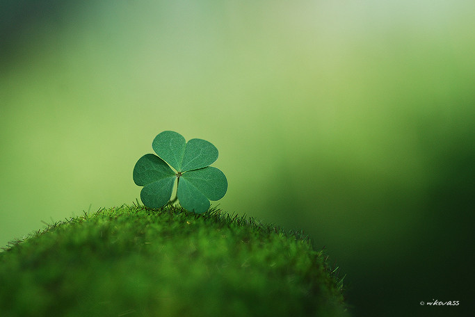 Photograph I'm Lucky Because I Have You by Niko Vass on 500px