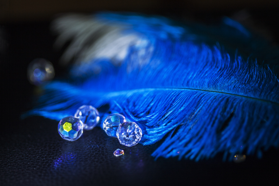 Photograph Midnight Blue by Margaret Morgan on 500px