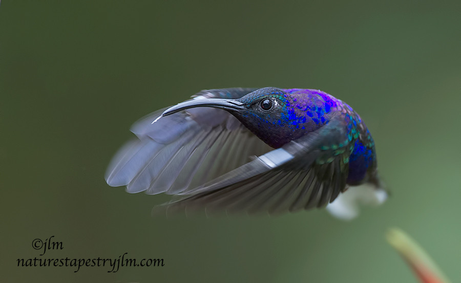 Photograph And I Am Off !!!! by Judylynn Malloch on 500px