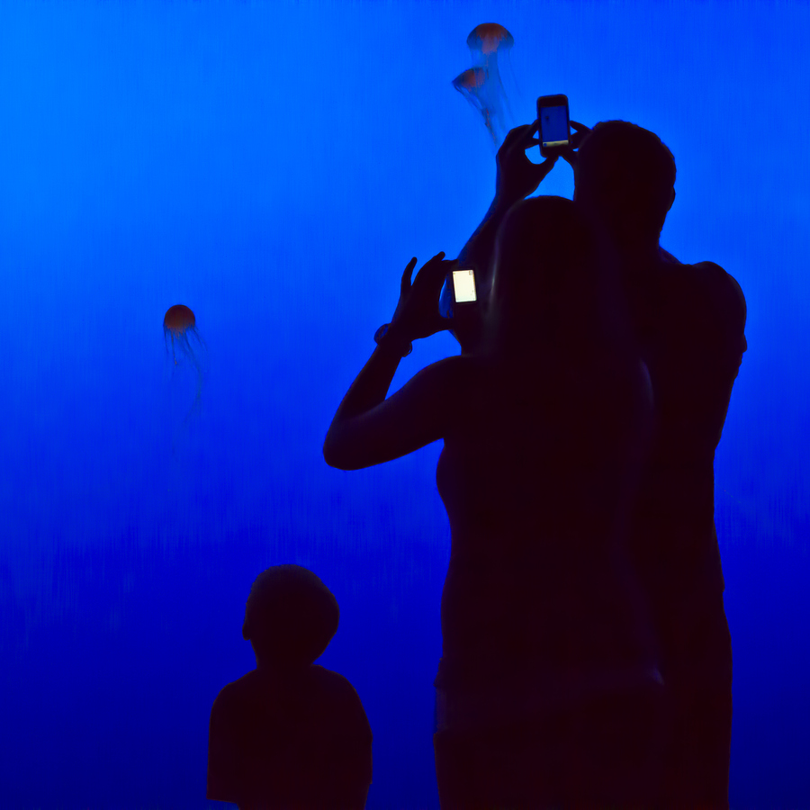 Photograph To Each His Own by Juan Osorio on 500px