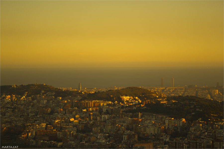 Photograph Yellow by Marta Maseras on 500px