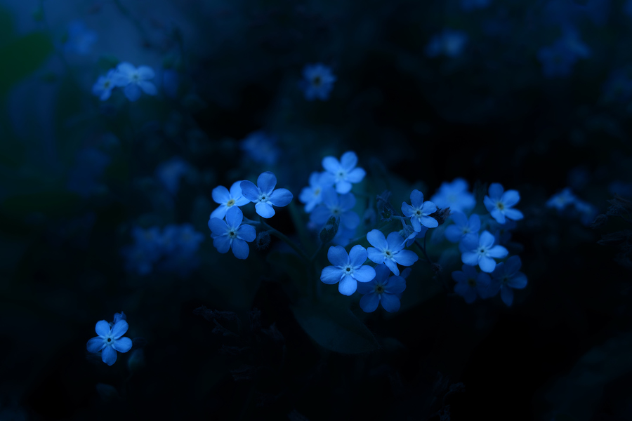 Photograph Blue Syndrome by Lafugue Logos   on 500px