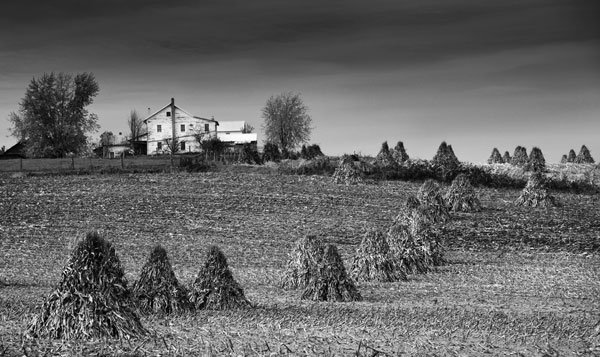 As you can see in this preview, that this image could also make a great black and white with lots of textures and a very interesting subject