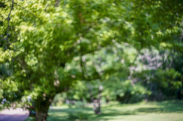 Hacking_Photography_Helios_44-2_Lens-0100