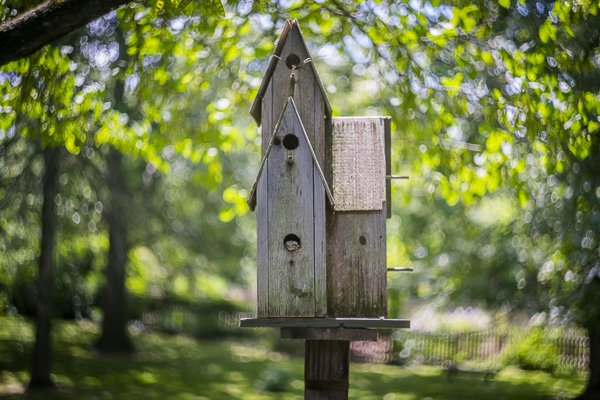 swirly bokeh, helios lens, helios 44-2