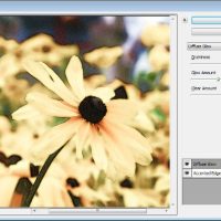 The Mysterious Disappearing Filters in Photoshop